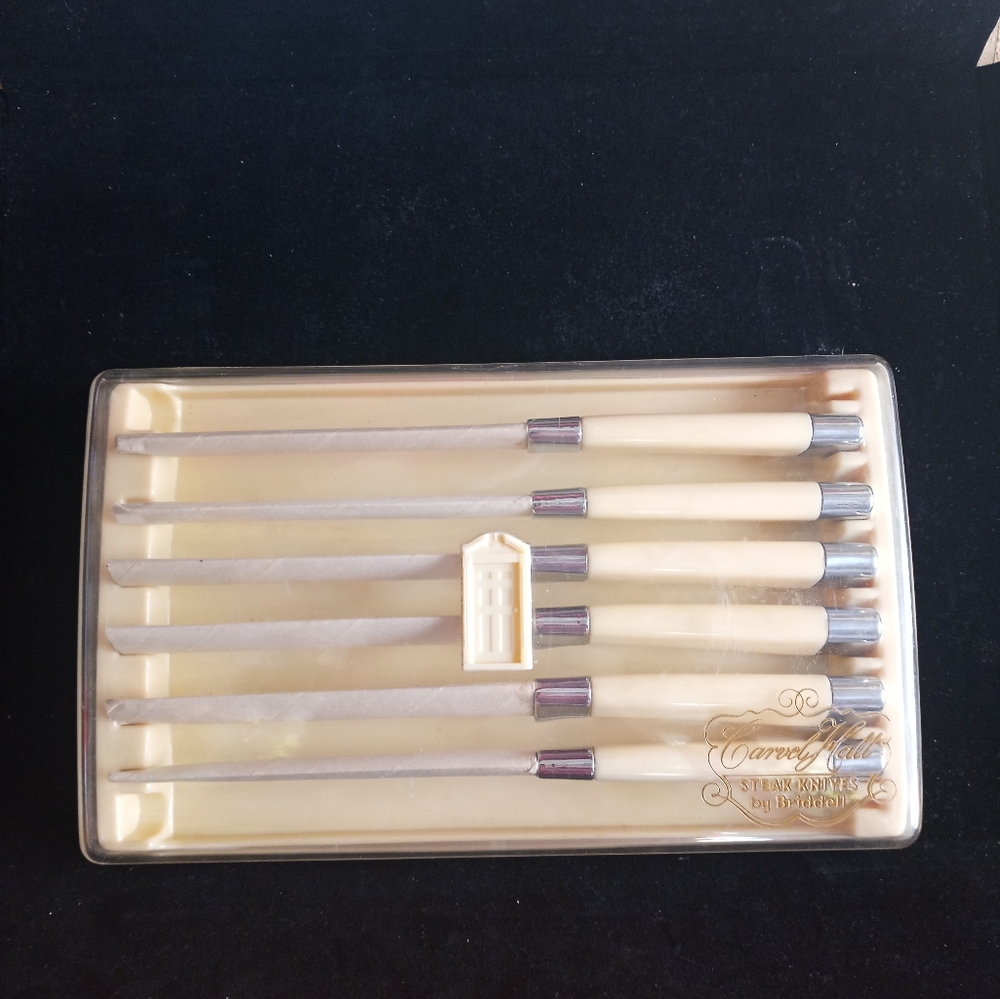 Vintage Briddell Carvel Hall Steak Knife Set 6 w/Original Plastic Case*1960s